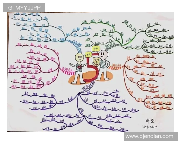 杭州羽毛球队在锦标赛中的团队协作表现分析与点评