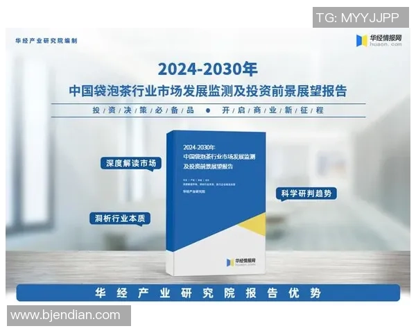 武汉排球队个人能力分析与表现评估研究报告 武汉排球队个人能力分析与表现评估研究报告