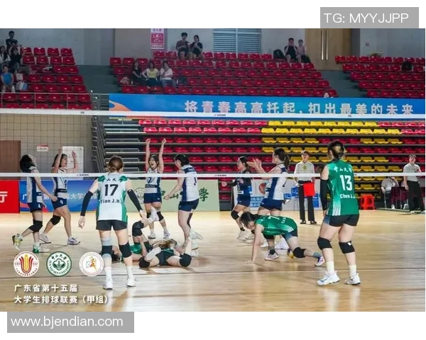 武汉排球队灵活性排名创新高引发关注展现排球新风貌