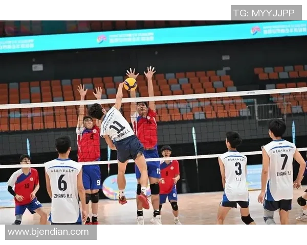 西安排球队的成长历程与挑战揭秘锦标赛背后的奋斗与荣耀