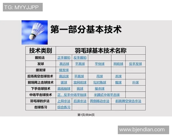 赵娜独家揭秘足球技巧与心得分享助你提升球技与战术理解